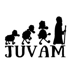 Cuota de Juvam